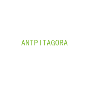 第18类，皮具箱包商标转让：ANTPITAGORA