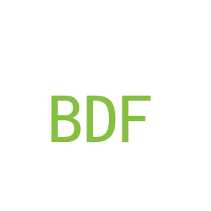 第15类，乐器乐辅商标转让：BDF
