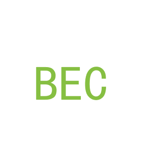 第28类，运动器械商标转让：BEC