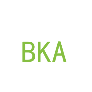 第9类，电子电器商标转让：BKA