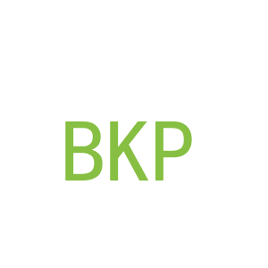 第9类，电子电器商标转让：BKP