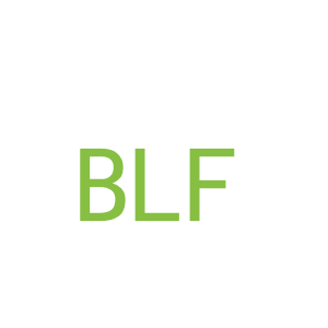 第12类，车辆配件商标转让：BLF