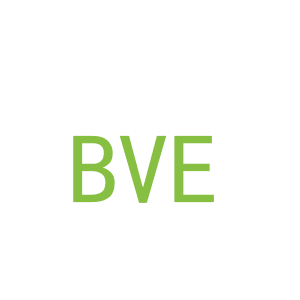第1类，化学原料商标转让：BVE