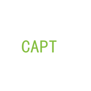 第25类，服装鞋帽商标转让：CAPT 