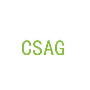 第9类，电子电器商标转让：CSAG