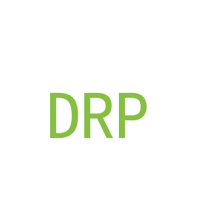 第18类，皮具箱包商标转让：DRP