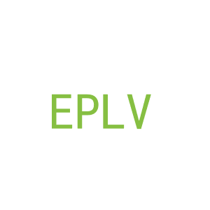 第25类，服装鞋帽商标转让：EPLV