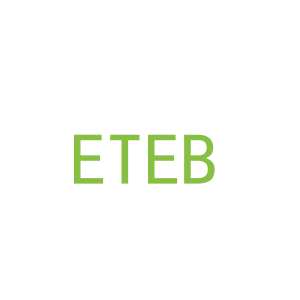 第25类，服装鞋帽商标转让：ETEB