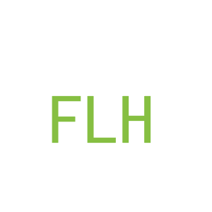 第3类，洗护用品商标转让：FLH