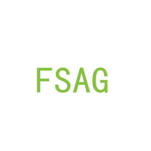 第9类，电子电器商标转让：FSAG