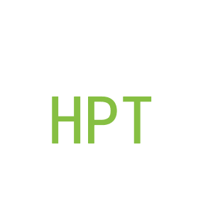 第25类，服装鞋帽商标转让：HPT