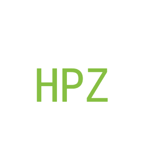 第12类，车辆配件商标转让：HPZ