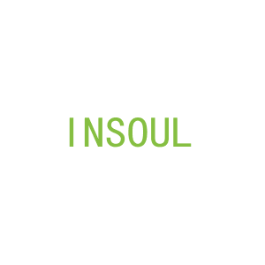 第15类，乐器乐辅商标转让：INSOUL