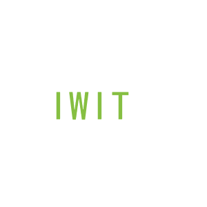 第11类，家用电器商标转让：IWIT 