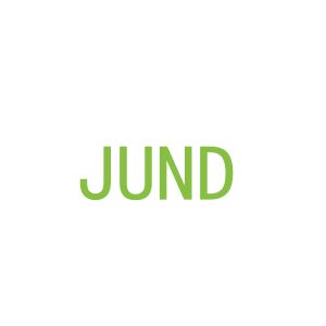 第14类，珠宝手表商标转让：JUND