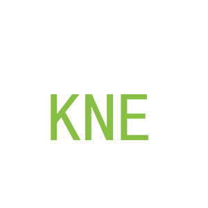 第3类，洗护用品商标转让：KNE