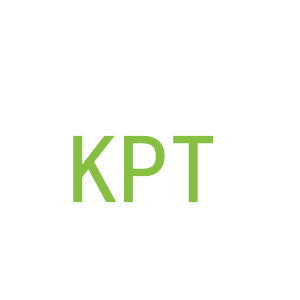 第26类，花边钮扣商标转让：KPT