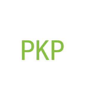 第35类，广告管理商标转让：PKP