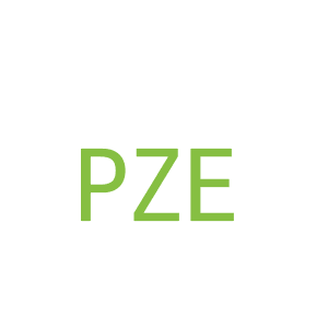 第9类，电子电器商标转让：PZE