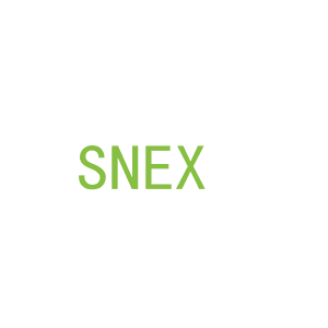 第25类，服装鞋帽商标转让：SNEX 