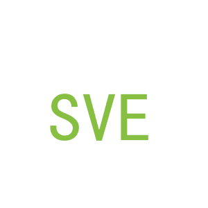 第1类，化学原料商标转让：SVE