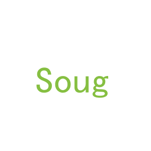 第18类，皮具箱包商标转让：Soug