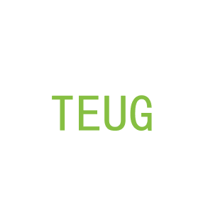 第9类，电子电器商标转让：TEUG