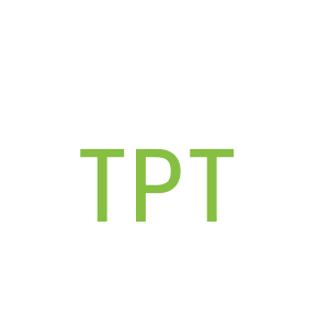 第18类，皮具箱包商标转让：TPT