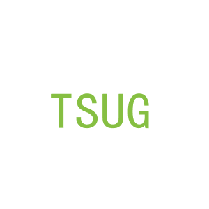 第11类，家用电器商标转让：TSUG