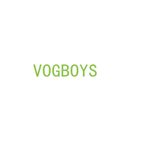 第18类，皮具箱包商标转让：VOGBOYS 