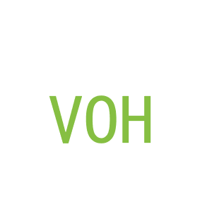 第16类，文具办公商标转让：VOH
