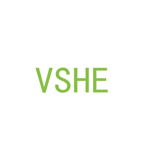 第25类，服装鞋帽商标转让：VSHE