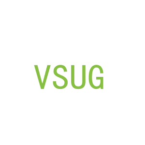 第9类，电子电器商标转让：VSUG
