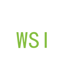 第3类，洗护用品商标转让：WSI