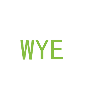 第9类，电子电器商标转让：WYE