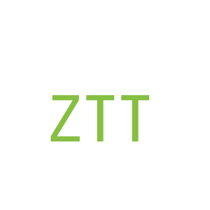 第18类，皮具箱包商标转让：ZTT