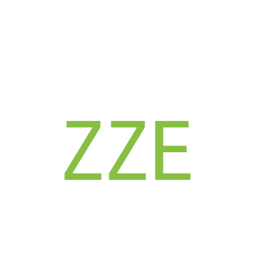 第12类，车辆配件商标转让：ZZE