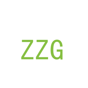 第12类，车辆配件商标转让：ZZG