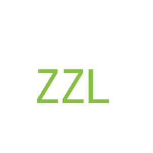 第12类，车辆配件商标转让：ZZL