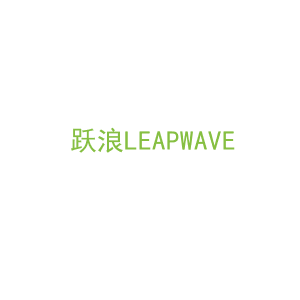 第28类，运动器械商标转让：跃浪LEAPWAVE